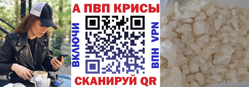 A-PVP СК  Шенкурск 