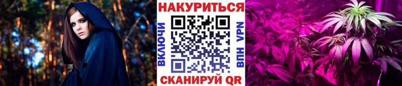Бошки марихуана план  где купить   ссылка на мегу ССЫЛКА  Шенкурск 